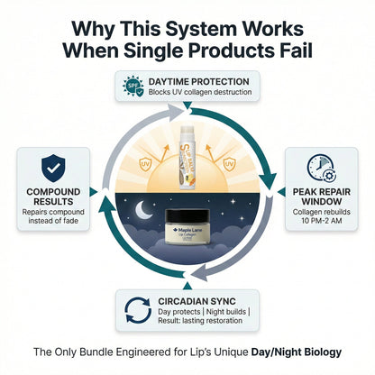 Maple Lane Dawn & Dusk