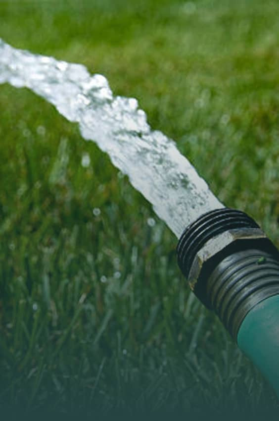 <strong>Supports Bladder Function</strong>